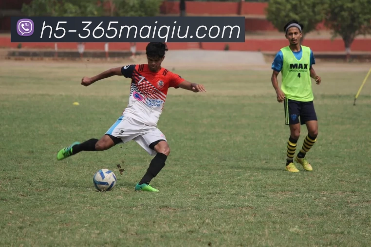 买球官网服务体系